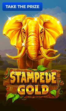Stampede Gold