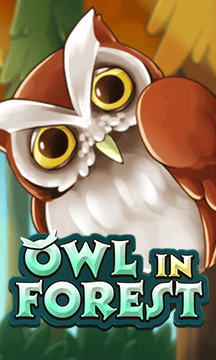 Owl In Forest