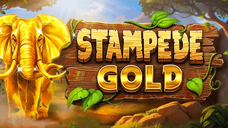 Stampede Gold