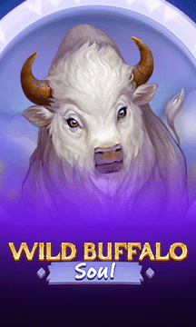 Wild Buffalo Soul