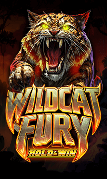 Wildcat Fury