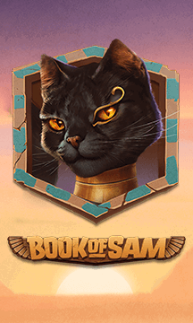 Book of Sam