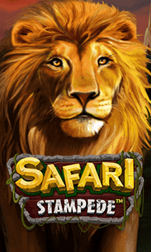 Safari Stampede