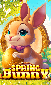 Spring Bunny
