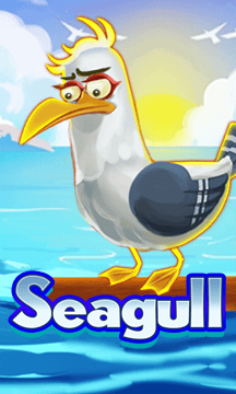 Seagull