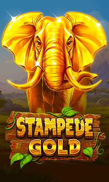 Stampede Gold
