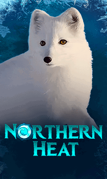 Northern Heat