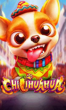 Chilihuahua