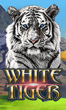 White Tiger