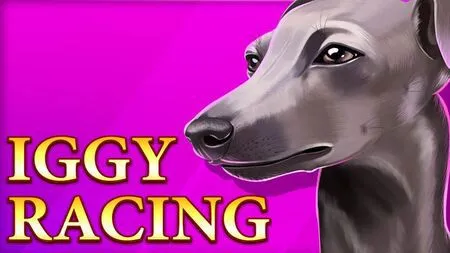 Iggy Racing