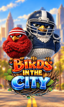 Birds in the City