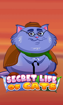 Secret Life of Cats