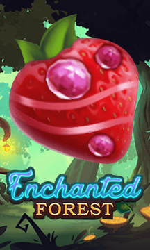 Enchanted Forest