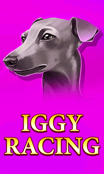 Iggy Racing