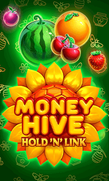 Money Hive Hold n Link