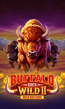 Buffalo Goes Wild II