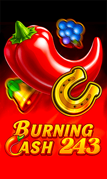 Burning Cash 243