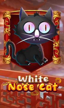 White Nose Cat