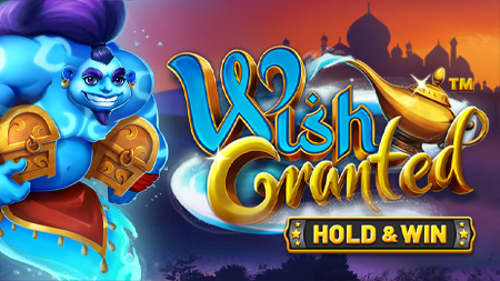 Wish Granted