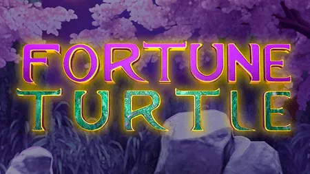 Fortune Turtle