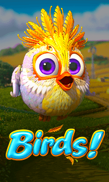 Birds!