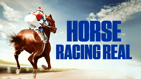 Horse Racing Real