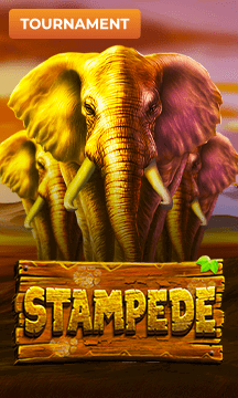 Stampede
