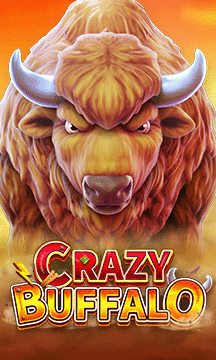 Crazy Buffalo