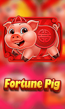 Fortune Pig