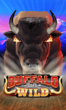 Buffalo Goes Wild