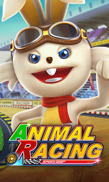 Animal Racing