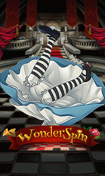 WonderSpin