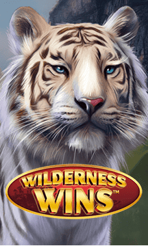 Wilderness Wins