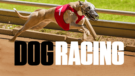 Dog Racing